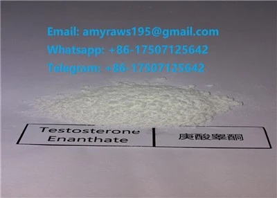 99.6% Purity Testo Enan Nrog Asmeskas, EU, Canada Cov Khoom Siv Hauv Tsev