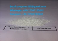 Steroid Cov Khoom Noj Hmoov Tsum Khoom Noj Testo Enan Rau Lub Cev Kuaj Nrog Lub Tebchaws Asmeskas, EU thiab Canada Cov Chaw Muag Khoom Hauv Tebchaws