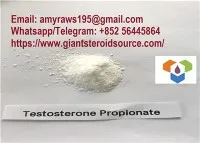 Testosterone Propionate Powder Nrog High Quality CAS 57-85-2