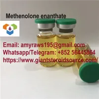 Methenolone Enanthate (Primobolan) Zoo CAS: 303-42-4