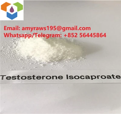 Raws Powder Testosterone Isocaproate